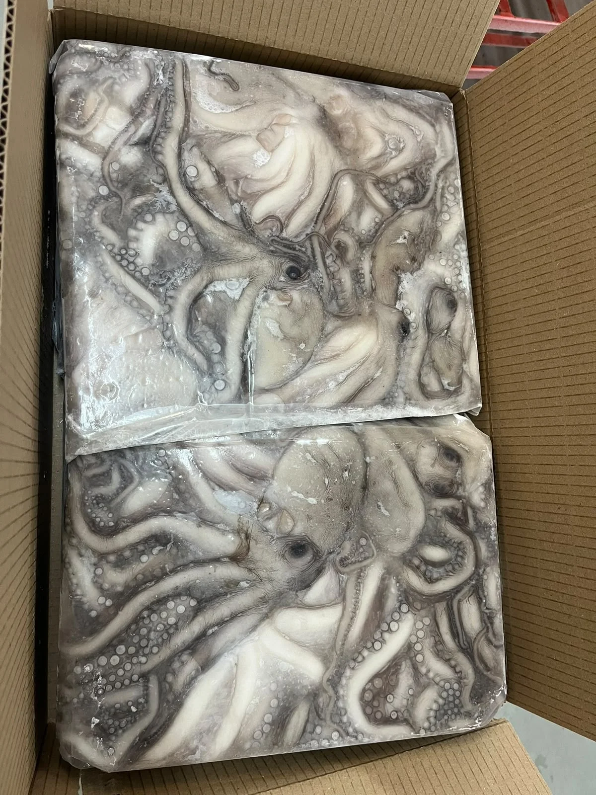 Pulpo en bloque 5k